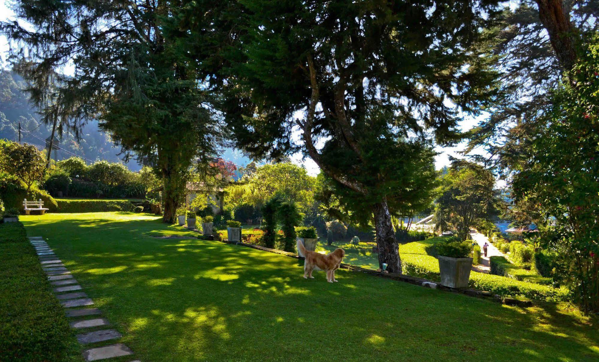 Brockenhurst Bungalow Nuwara Eliya Ngoại thất bức ảnh